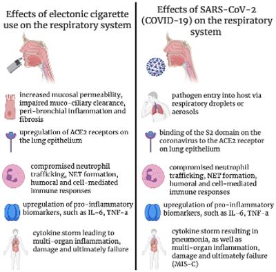 Vaping, SARS-CoV-2, and Multisystem Inflammatory Syndrome: A Perfect Storm